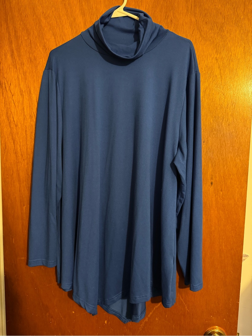 Simple Royal Blue Long Sleeve Turtleneck Tunic Top